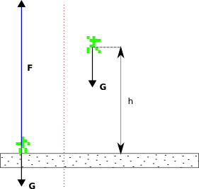 Physics of a Jump